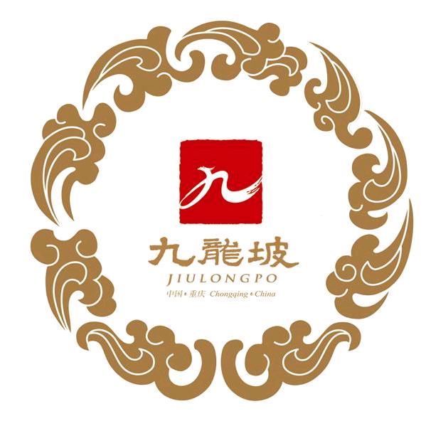 爱上九龙坡