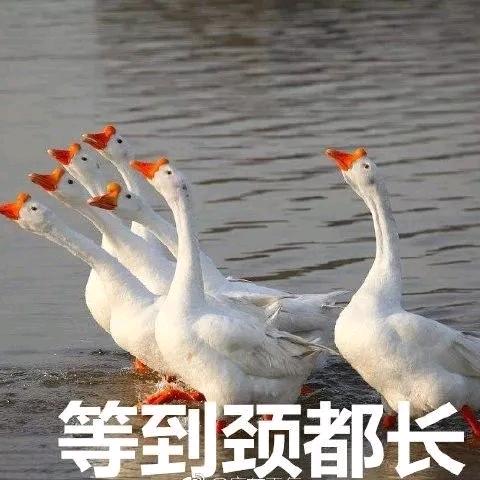 用户名26264115头像