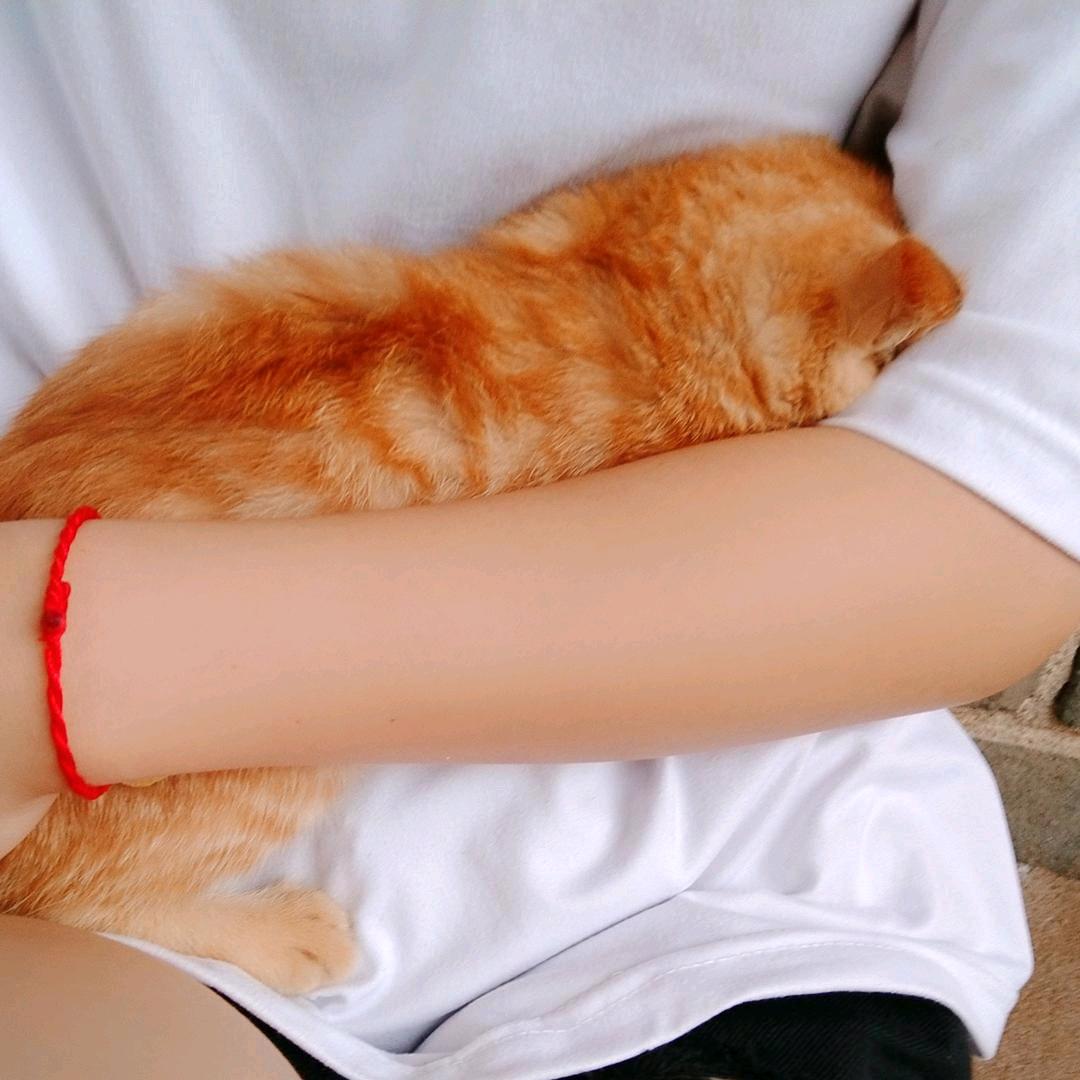 ᥫᩣ༠°不甜的唐