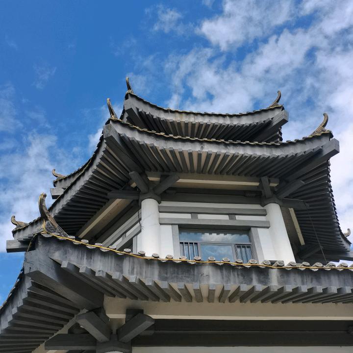 九儿的读书聊天陪伴群