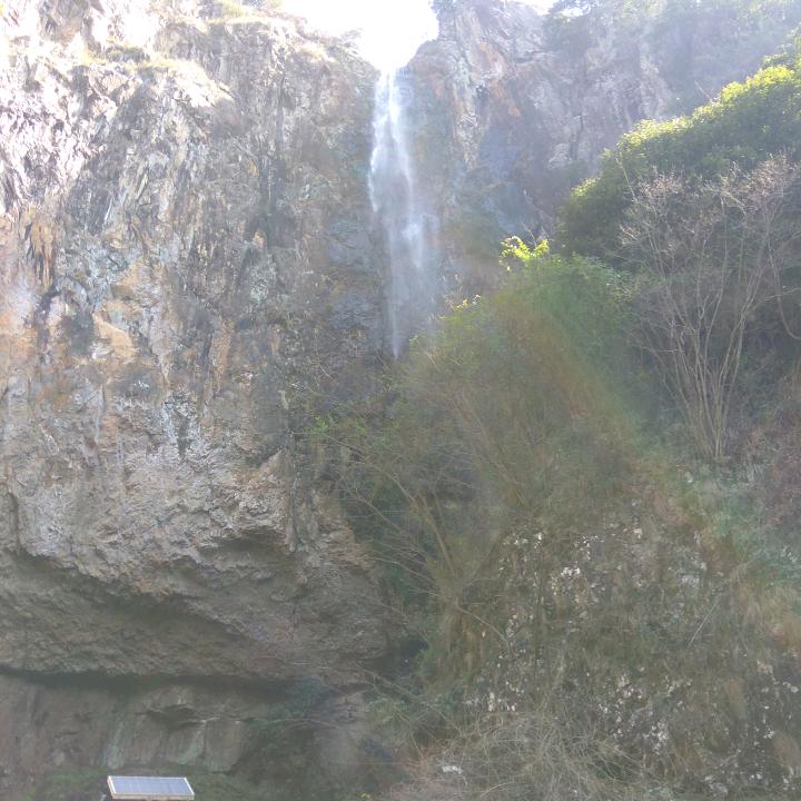 王笑头像