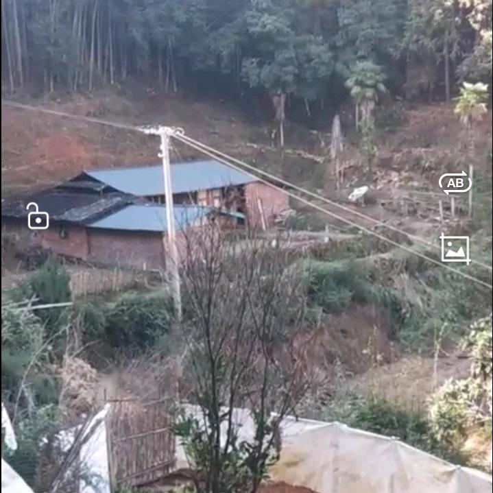 💕᭄ꦿ好运ོ࿆降林᭄🕊