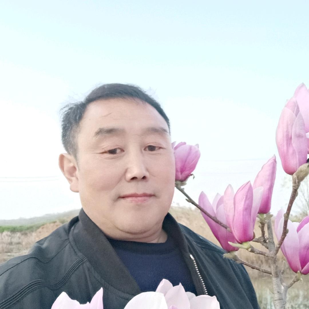 喜乐双金