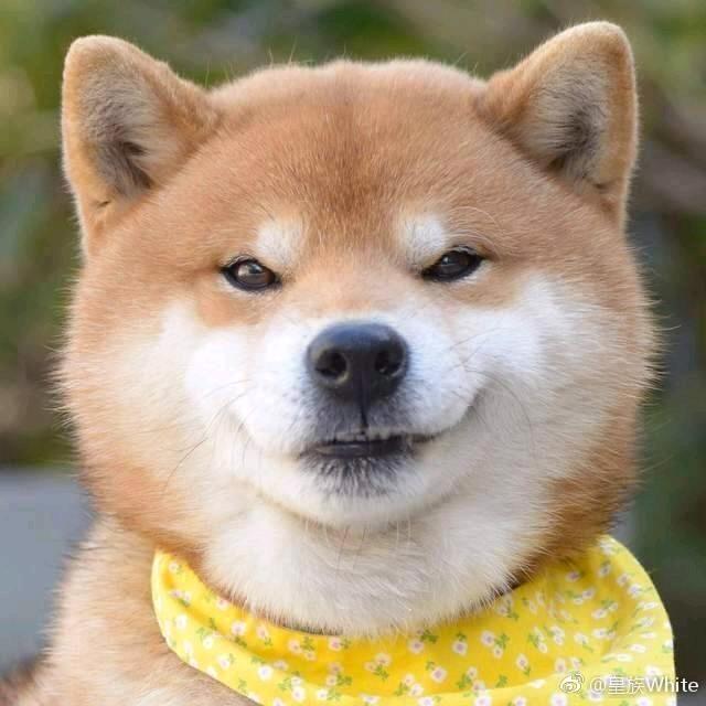 伊怡以忆