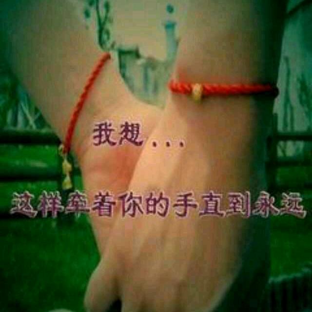 踏雪寻梅🍀🍀