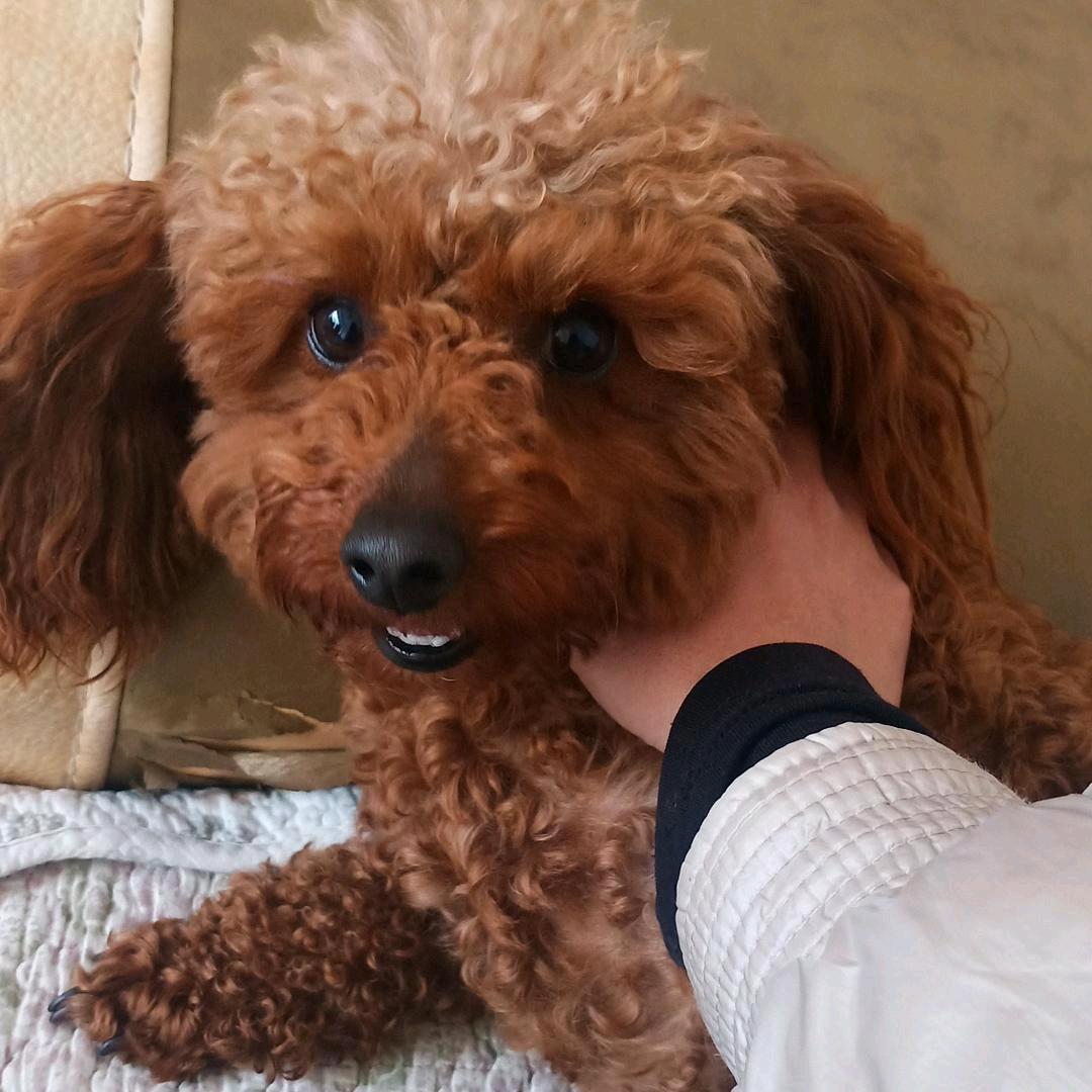 🍁 ⃢👁ܫ👁⃢ 🍁