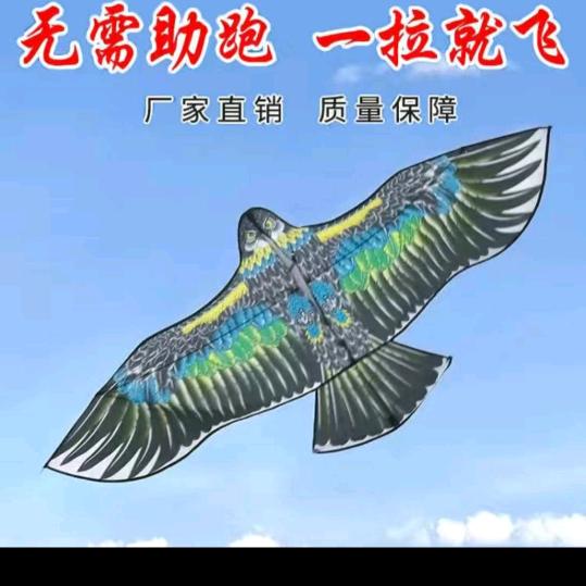 筝
