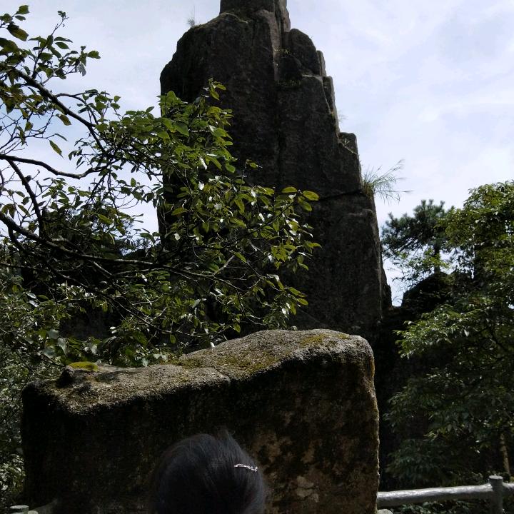 不悔