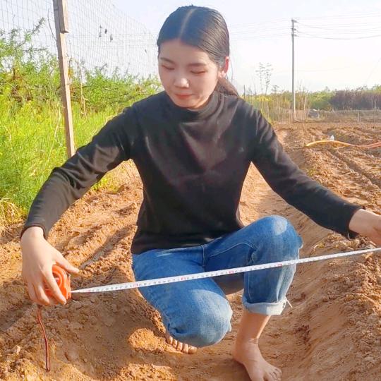 豆娇小玲
