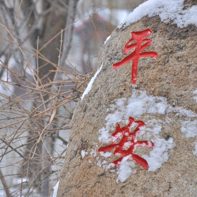 落雪❄️飛花🌺