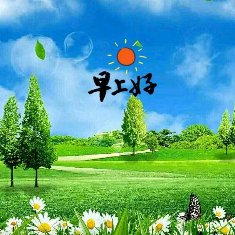 李zhenye