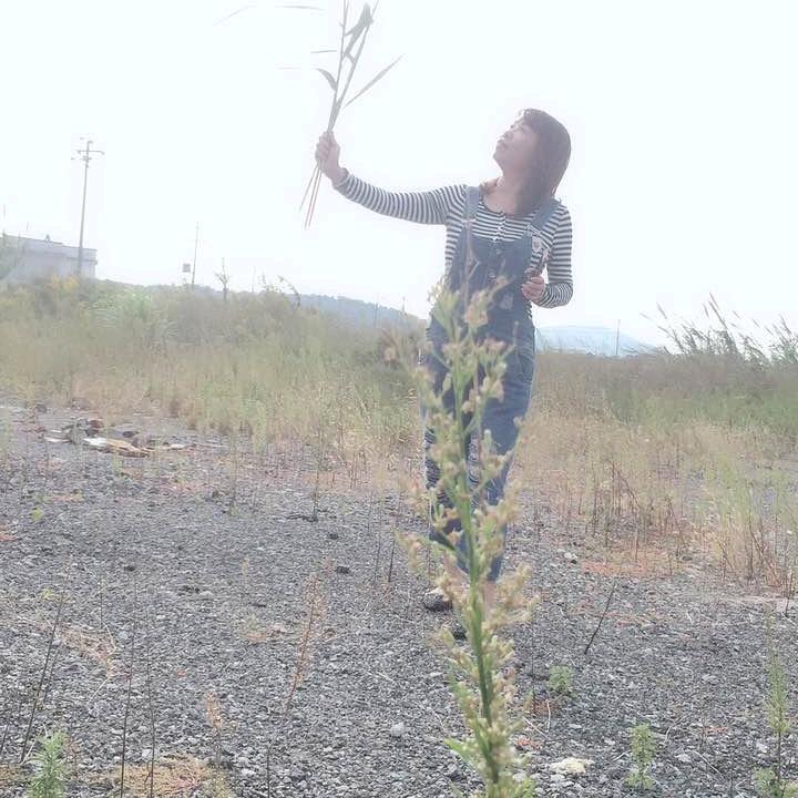 惠惠