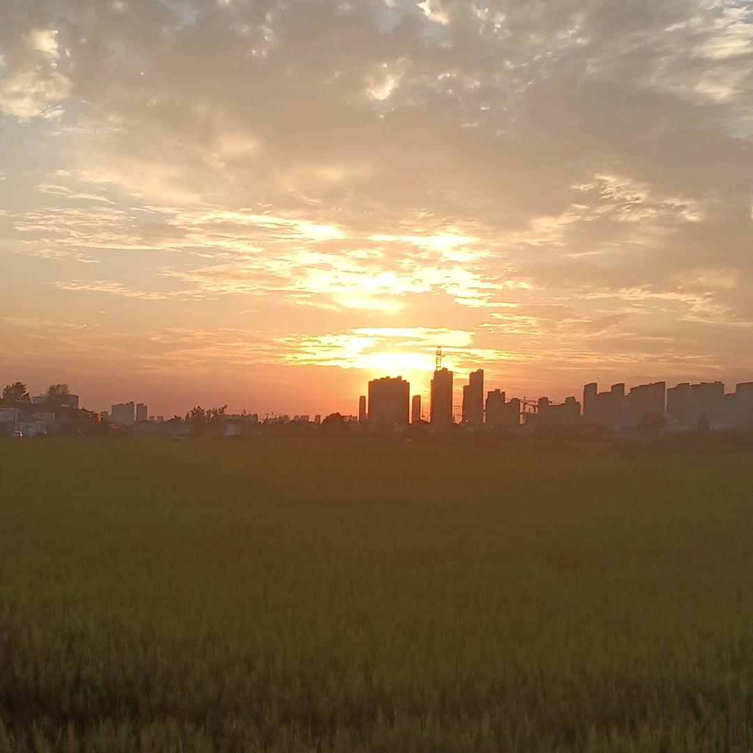 酒神过去式