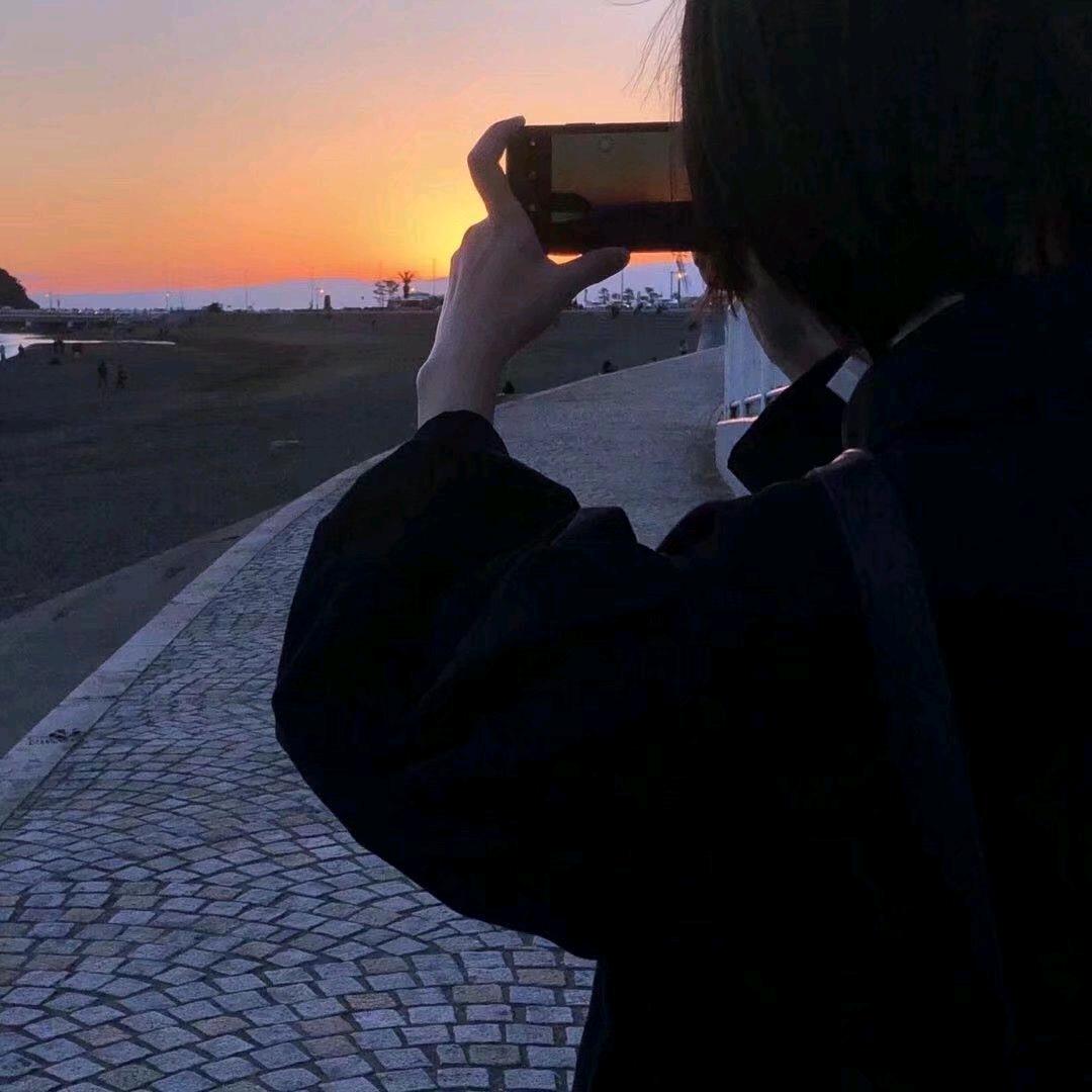 那天与你邂逅的薇薇