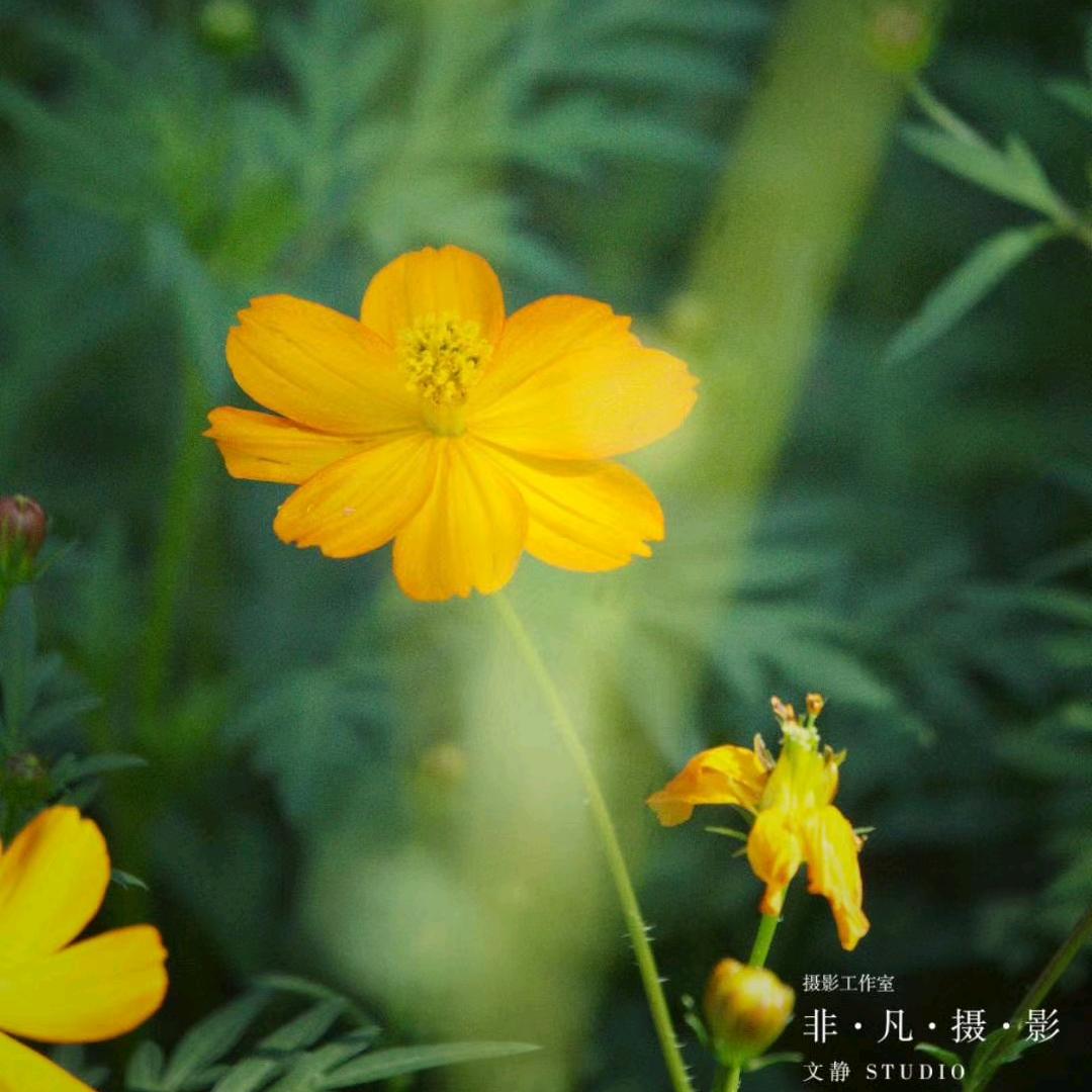 与幸福撞个满怀🌹🌸