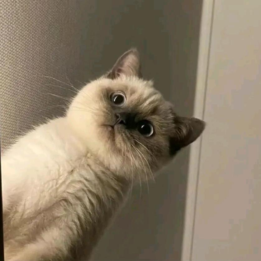 明天见ㅤ