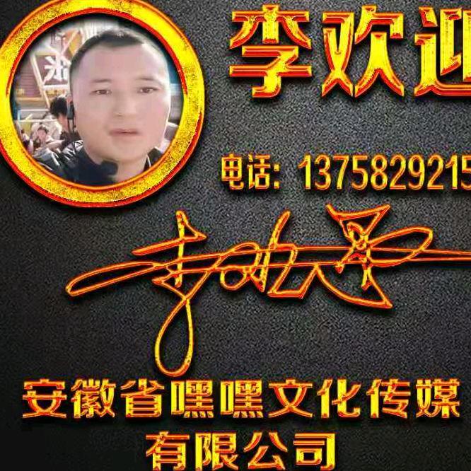安徽省嘿嘿文化传媒有限公司，李总