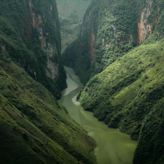 开心一笑20230188