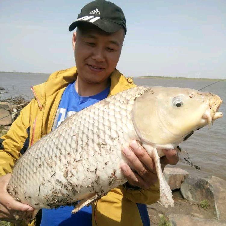 ༼公喜发财༽