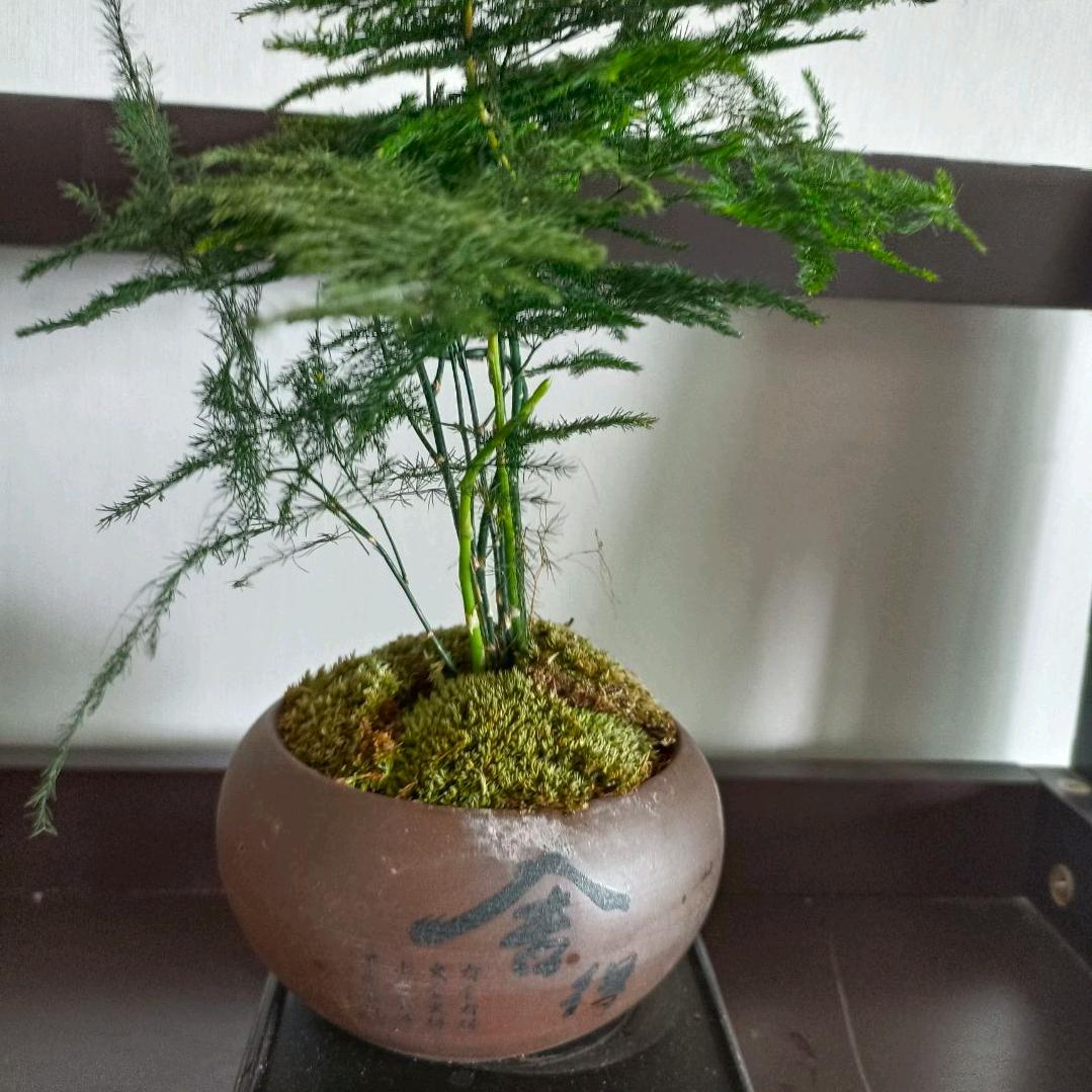 包容