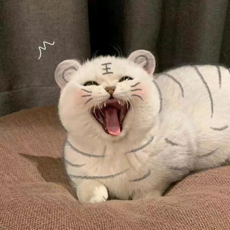 鹿小帅