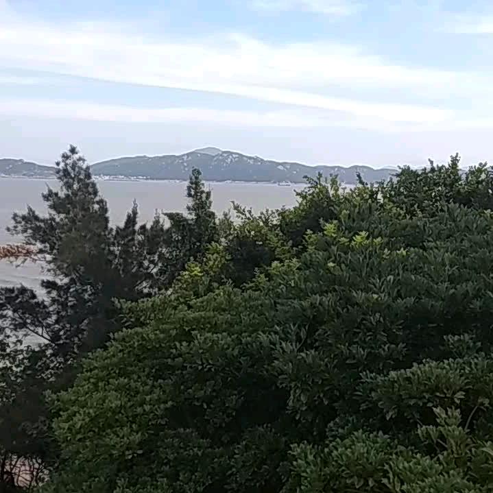 風ꦿོ
