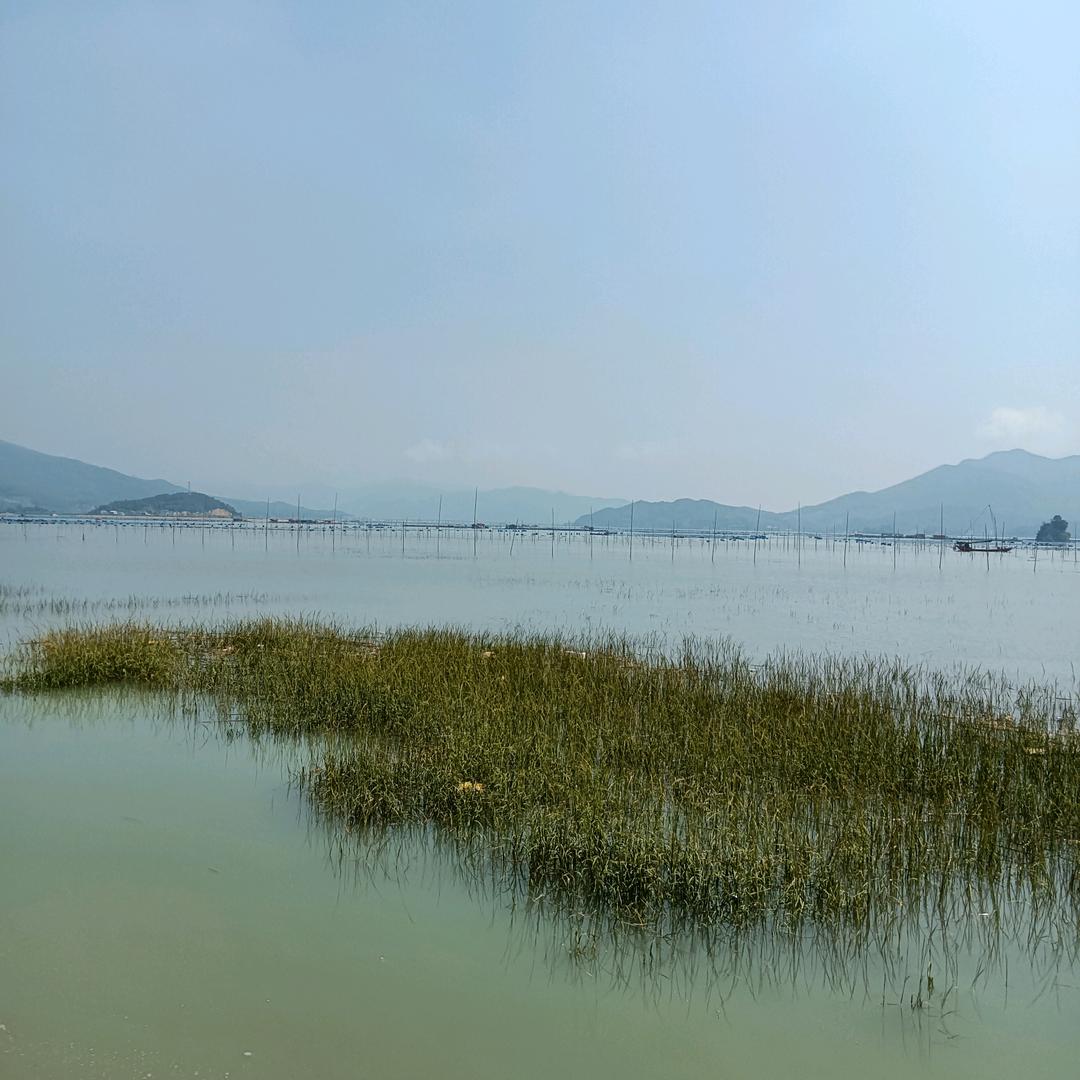 黑土