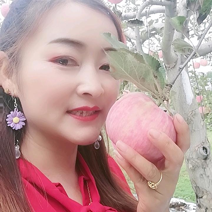 菊花姐