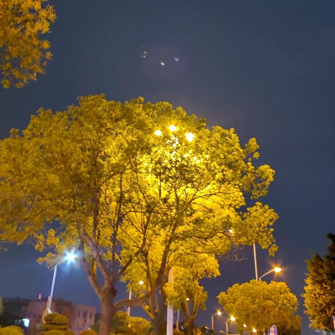 不营业的餐厅