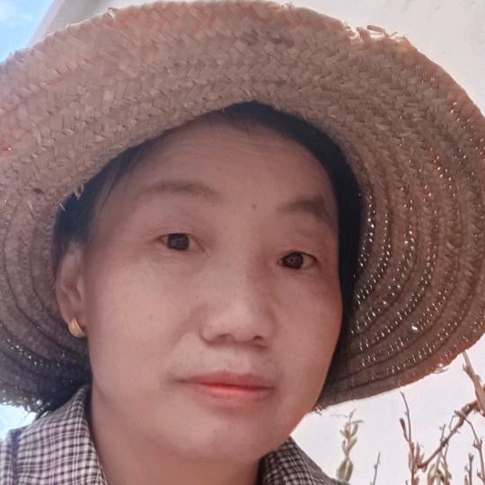 风乐姐