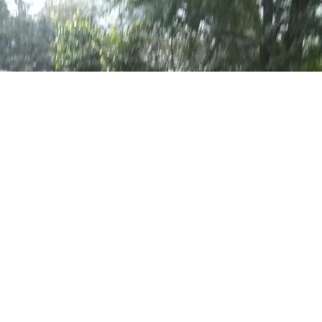 牟会琼