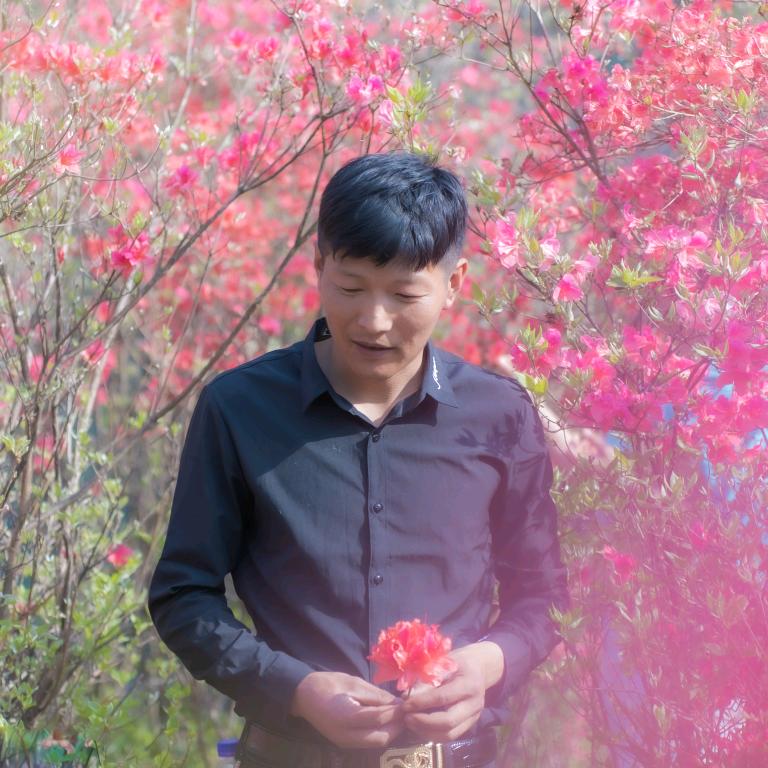 痴心易碎