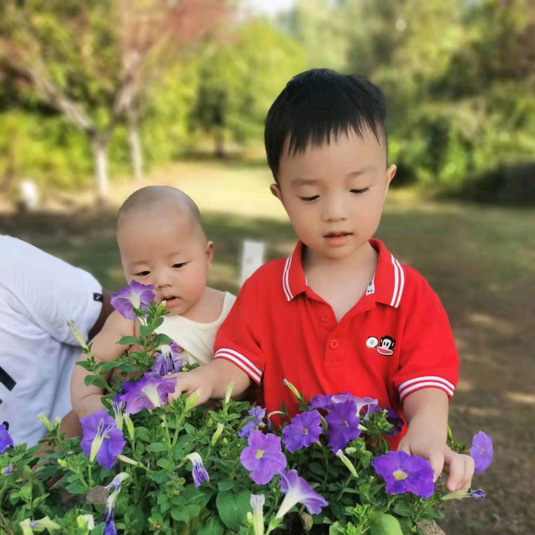 刘三妹