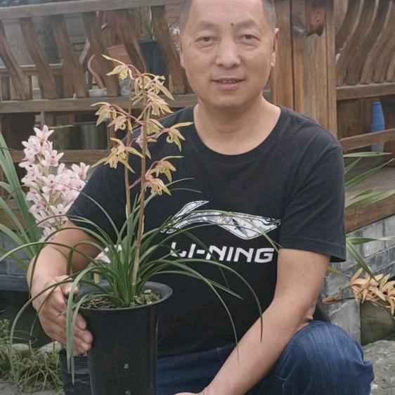 都江堰市乐也可园艺场（兰花发哥）