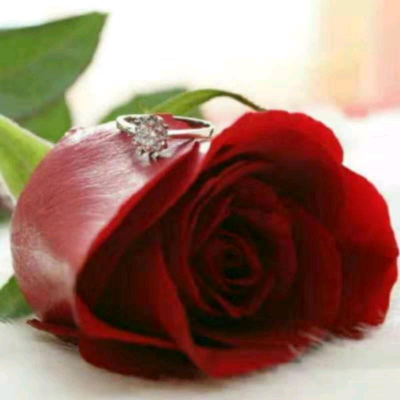 岁月以逝、昔日容颜