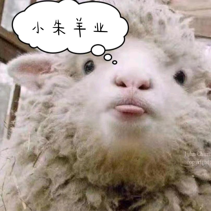 相_养殖羊_业