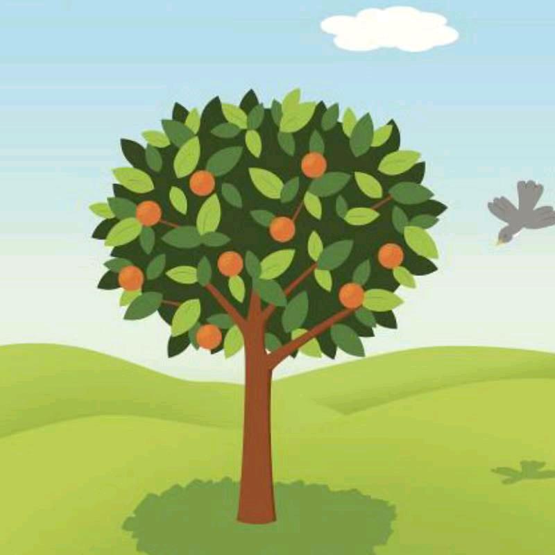 幸福一辈子💖💖💖💖🌹🌹