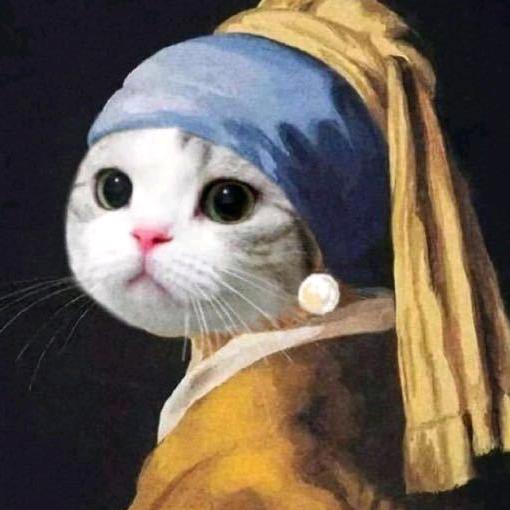 小乔要努力变强