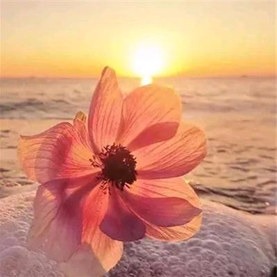 浮云归心💛