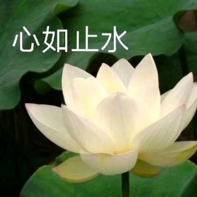 开心大姐