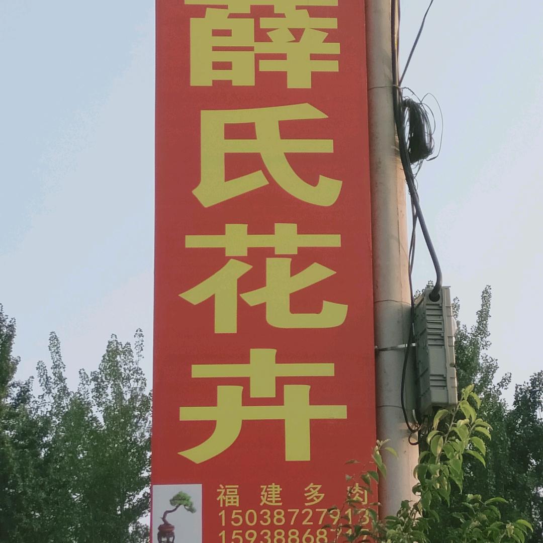 是是是