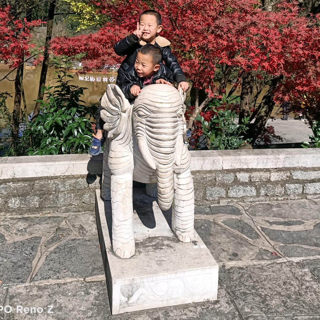 天若有情   天知道