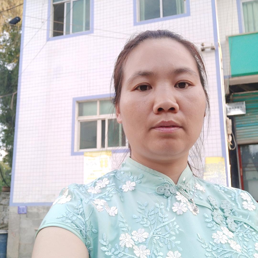 何红梅
