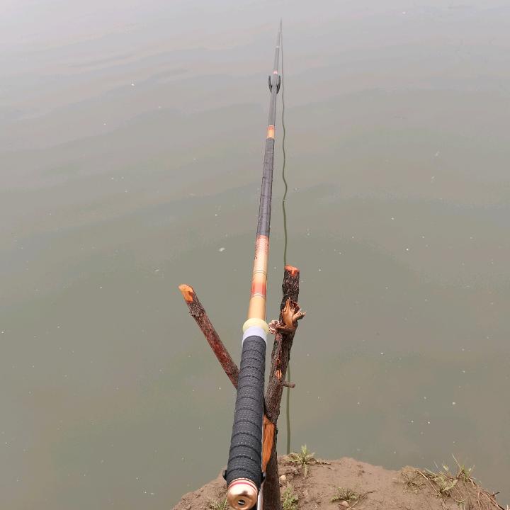 和家🐠🐠🐠