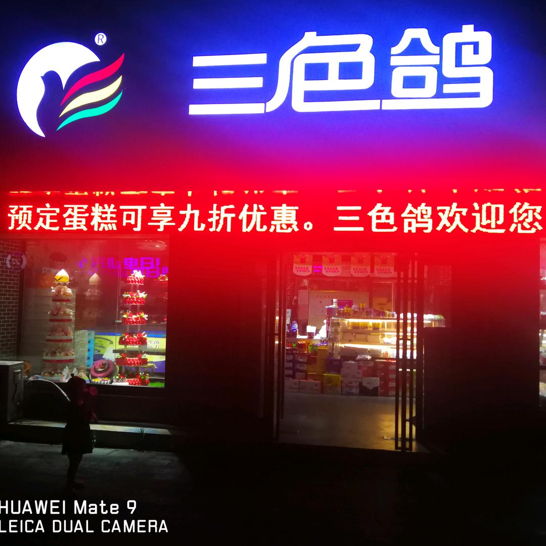 南召三色鸽梦