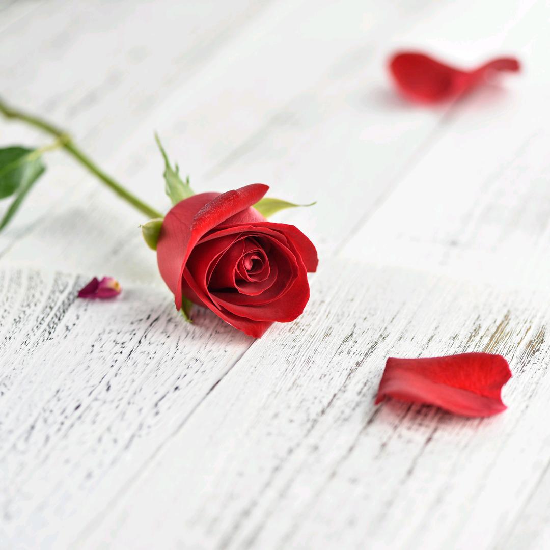 ༊ღ᭄遇见꧔ꦿ᭄💞