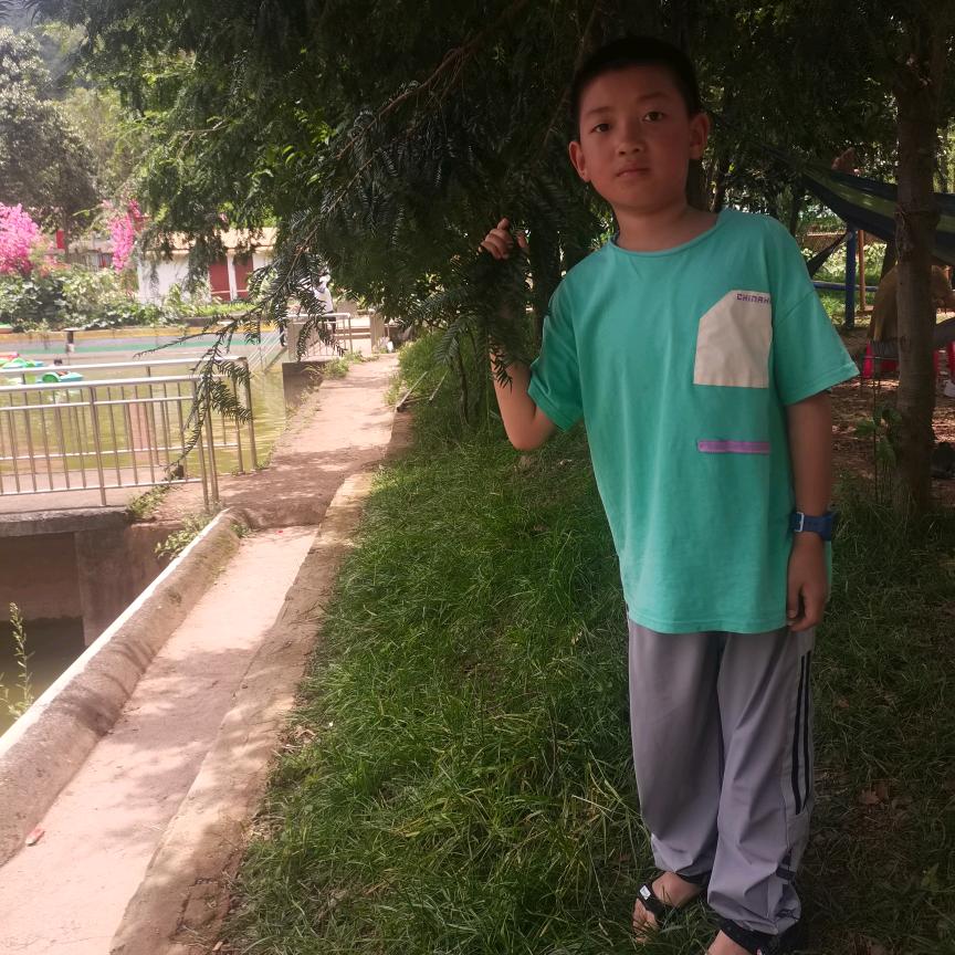 幸运的梅