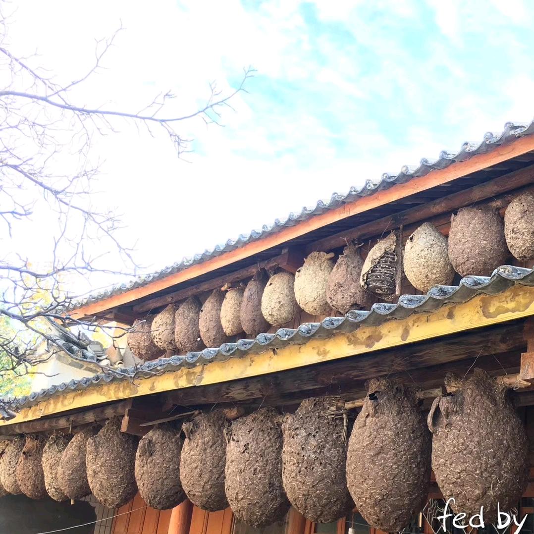 祥云县爱丰养殖农民专业合作社