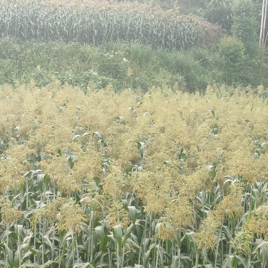 过好余生每一天