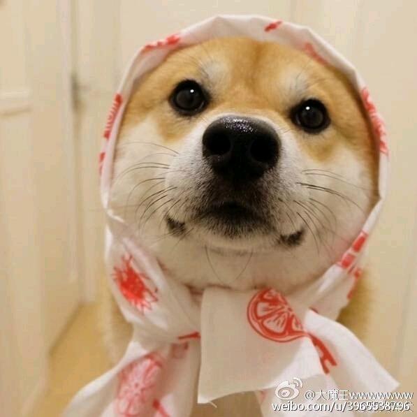 有趣的灵魂总会那么开心